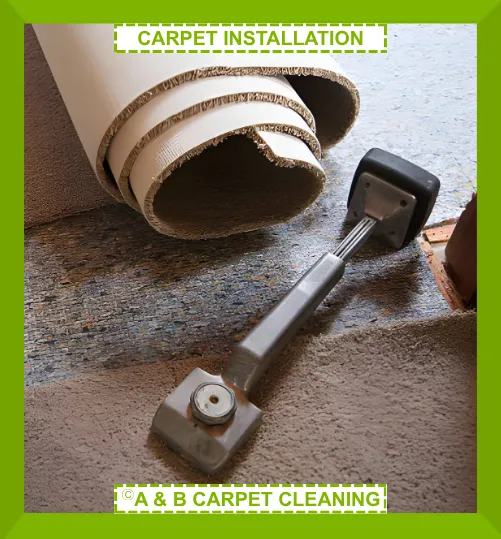 Professional rug cleaning process